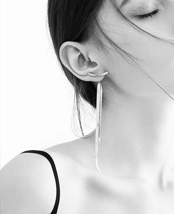 Sleek Tassel Dangle Earrings